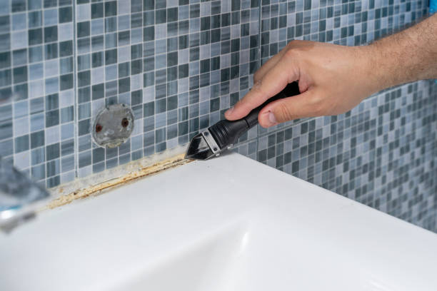 Best Mold Remediation  in Chester Center, CT